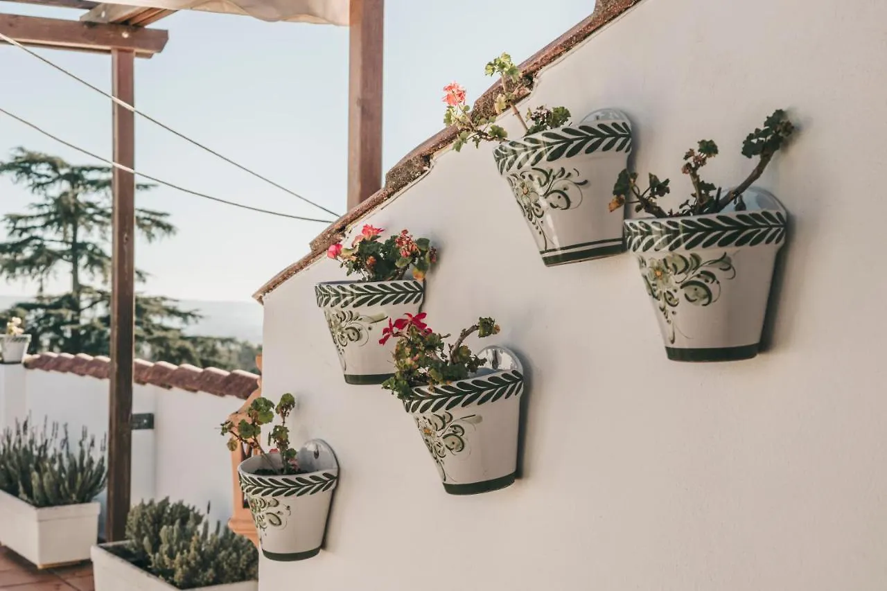 Crisol Jardines De Cordoba Hotell